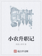 小农升职记